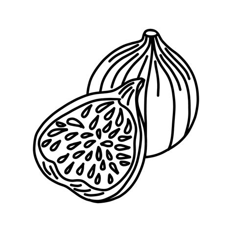 fig clipart black and white|Fig black white Vectors & Illustrations for Free Download .